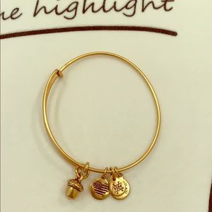 Alex and Ani bracelet